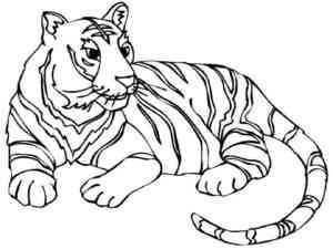 Siberian Tiger Laying down coloring page
