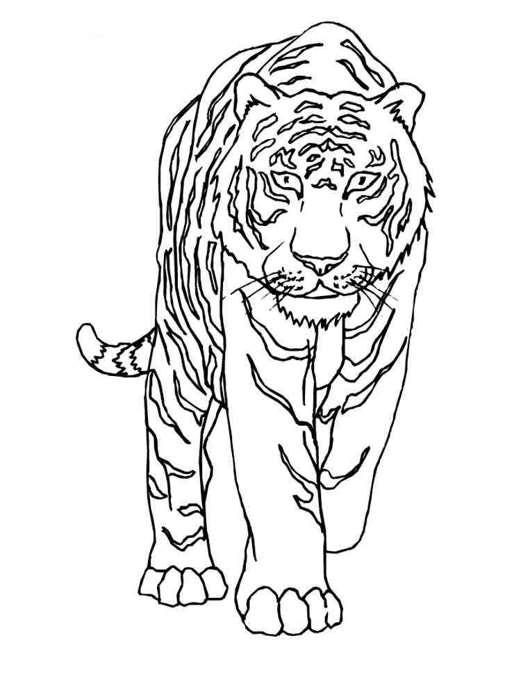 Realistic Tiger coloring page