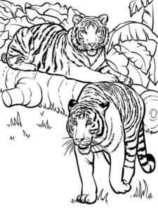 Two Tigers coloring page