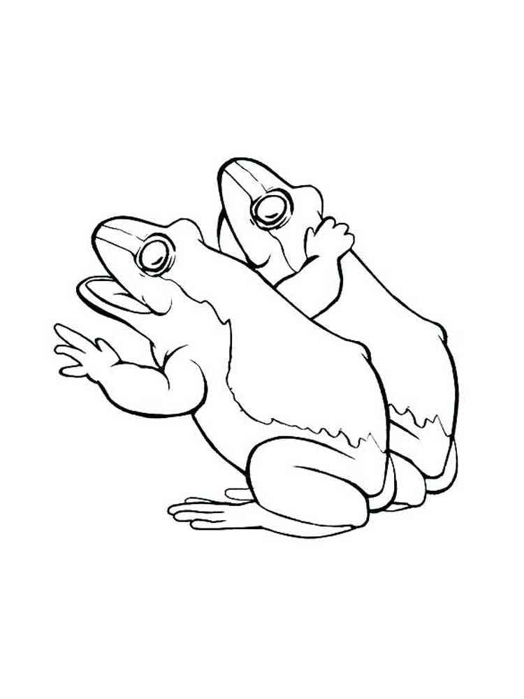 Two Toads coloring page
