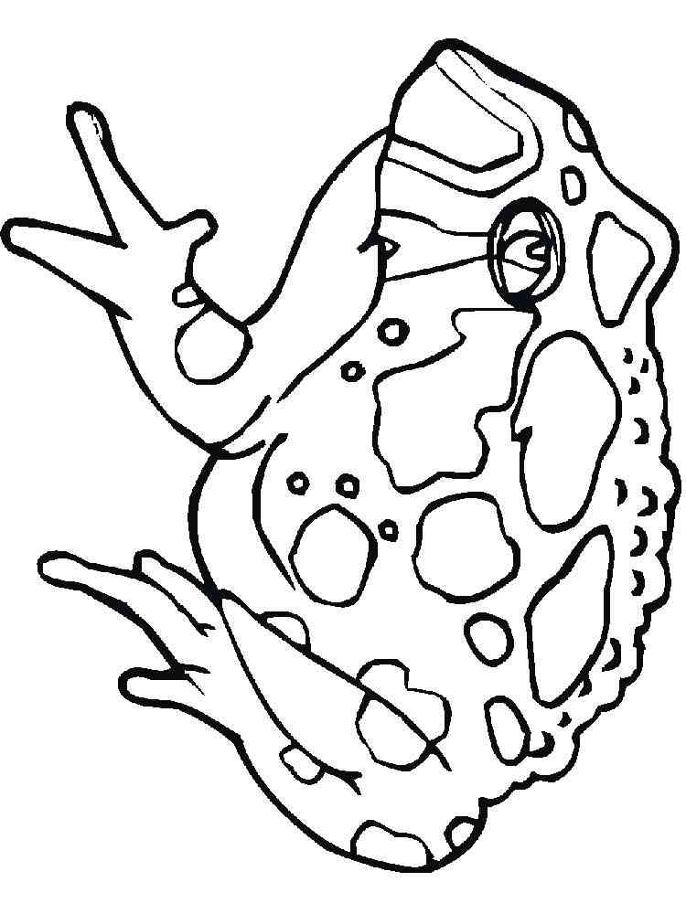 Cane Toad coloring page