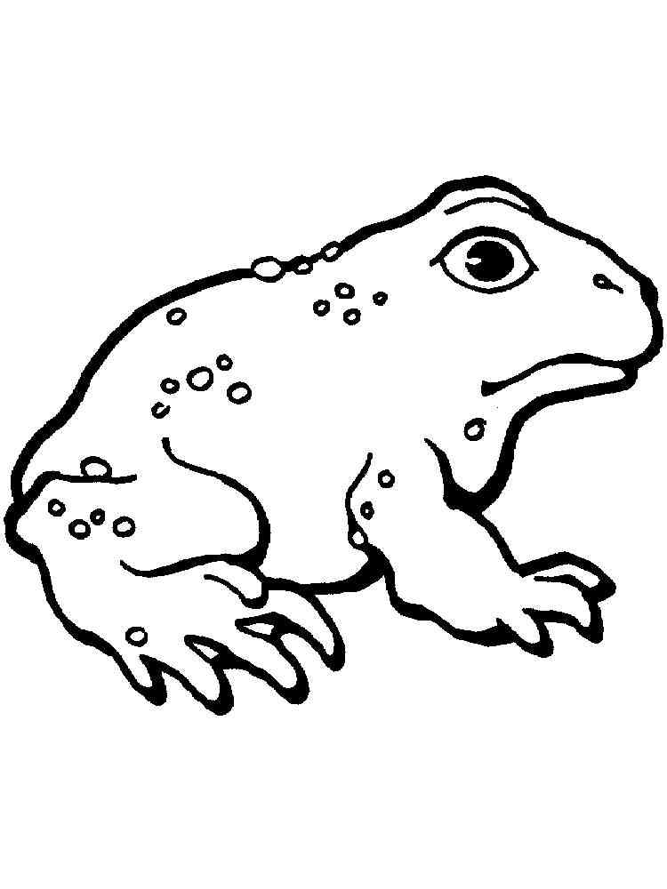 Little Toad coloring page