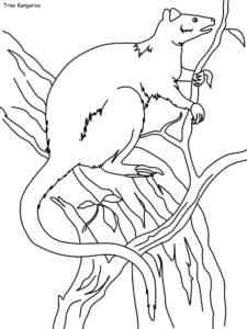 Tree Kangaroo on a tree branch coloring page