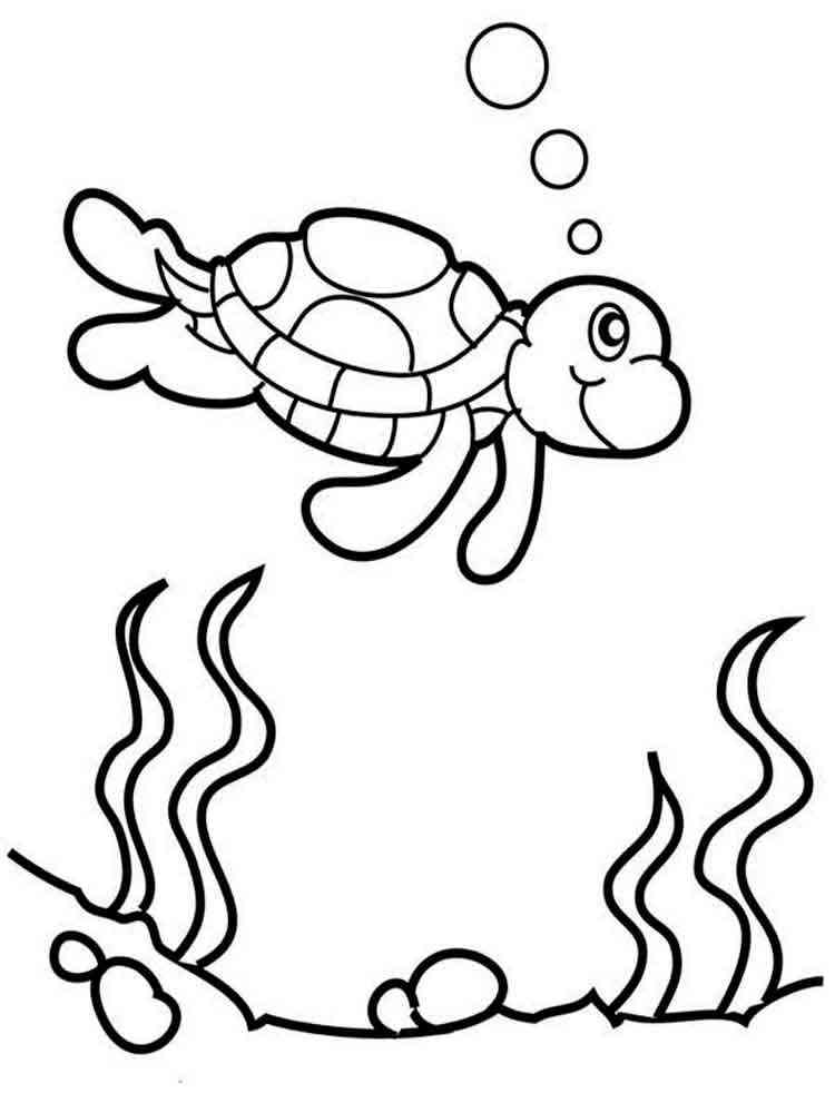 Turtle underwater coloring page