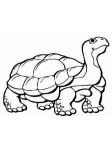 Galapagos Tortoise coloring page