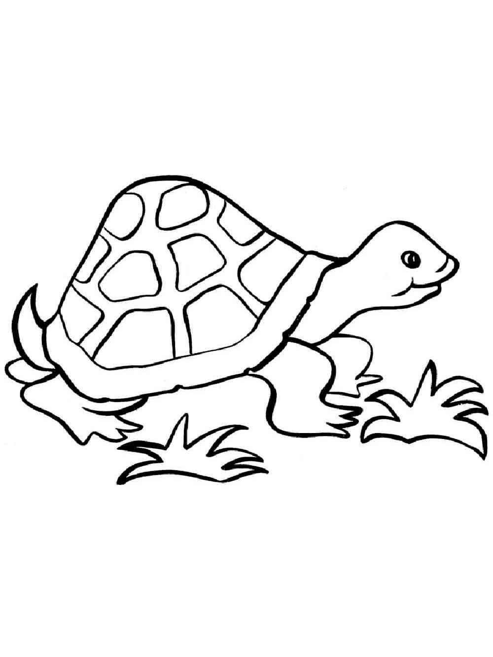 Walking Turtle coloring page