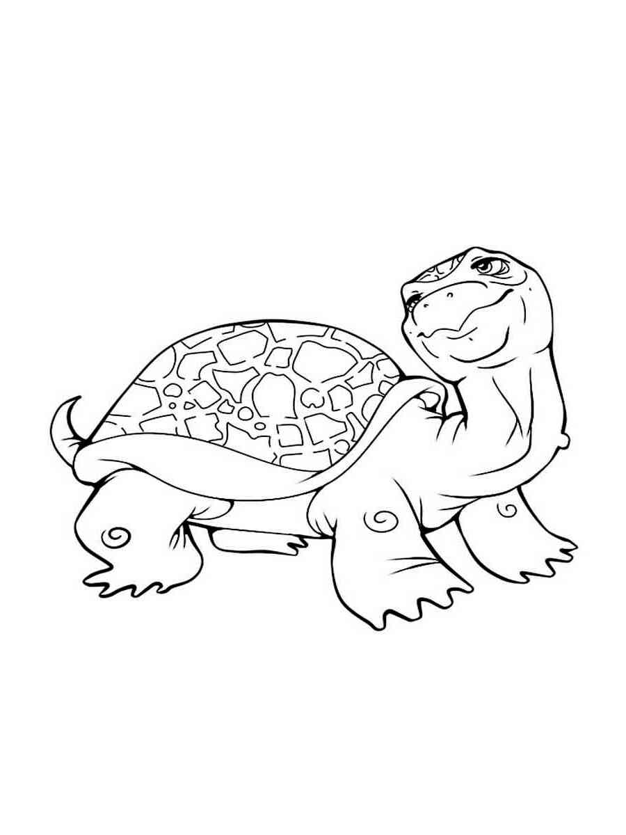 Happy Cartoon Turtle coloring page