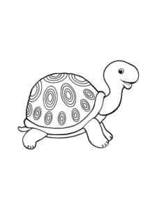 Common Turtle coloring page