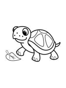 Turtle and Leaf coloring page