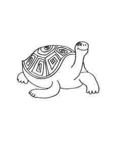 Huge Turtle coloring page