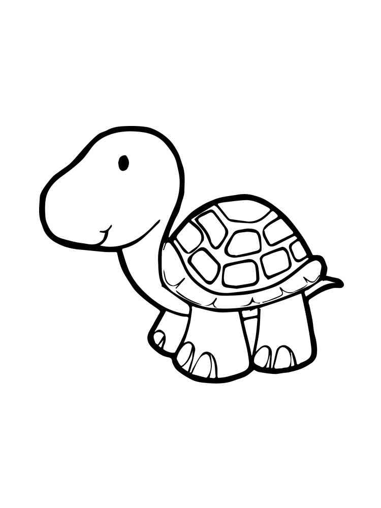 Little Turtle coloring page