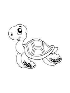 Little Cartoon Turtle coloring page