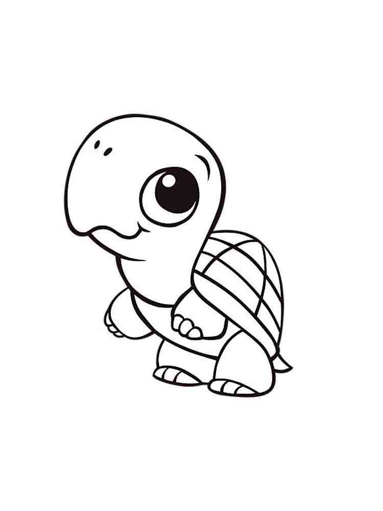 Easy Baby Turtle coloring page