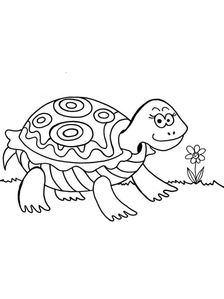 Turtle and the flower coloring page