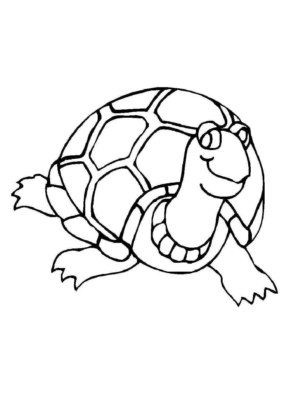 Simple Cartoon Turtle coloring page