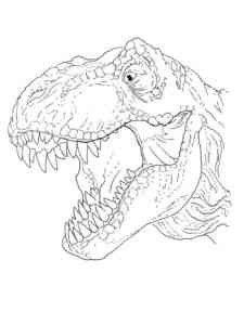 T-Rex Head coloring page