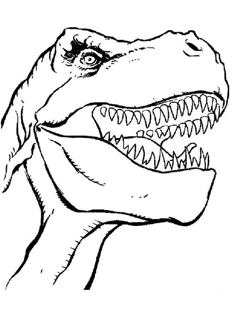 Tyrannosaurus Head coloring page