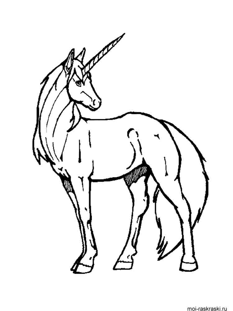 Horse Unicorn coloring page