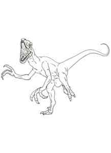 Predatory Velociraptor coloring page