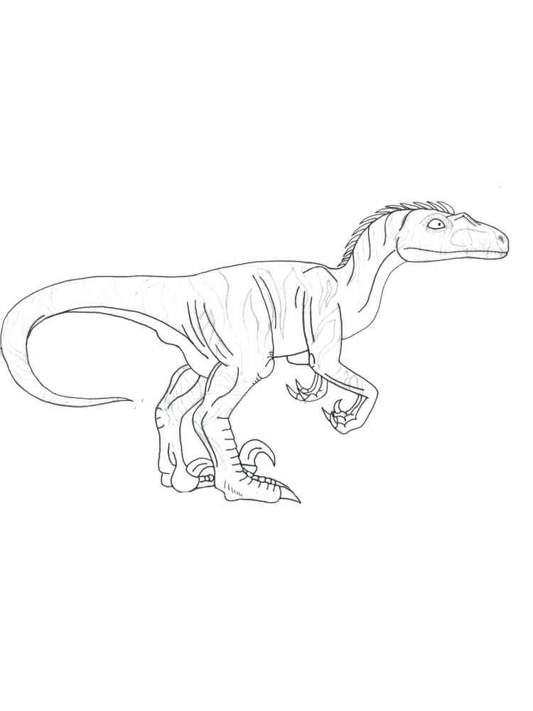 Velociraptor Dinosaur coloring page