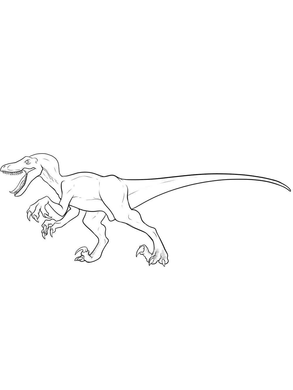 Simple Velociraptor coloring page