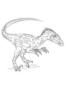 Realistic Velociraptor coloring page