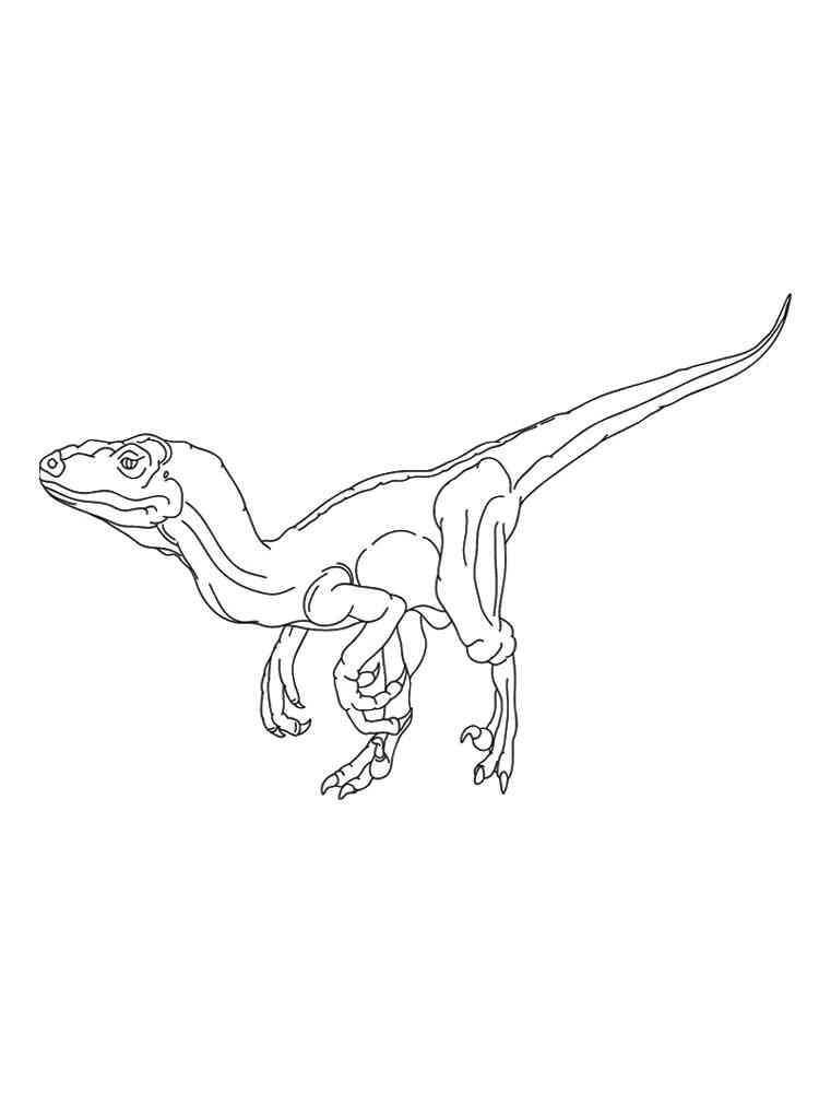 Raptor Dinosaur coloring page