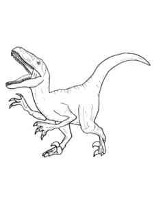 Velociraptor Cretaceous Period Dinosaur coloring page