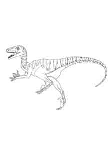 Running Velociraptor coloring page