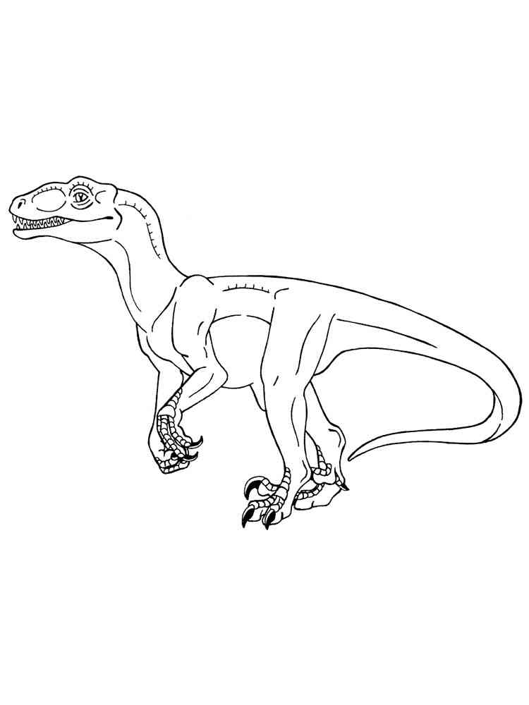 Velociraptor Hunts coloring page