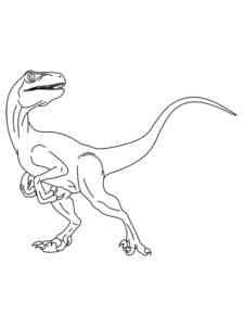 Easy Velociraptor coloring page