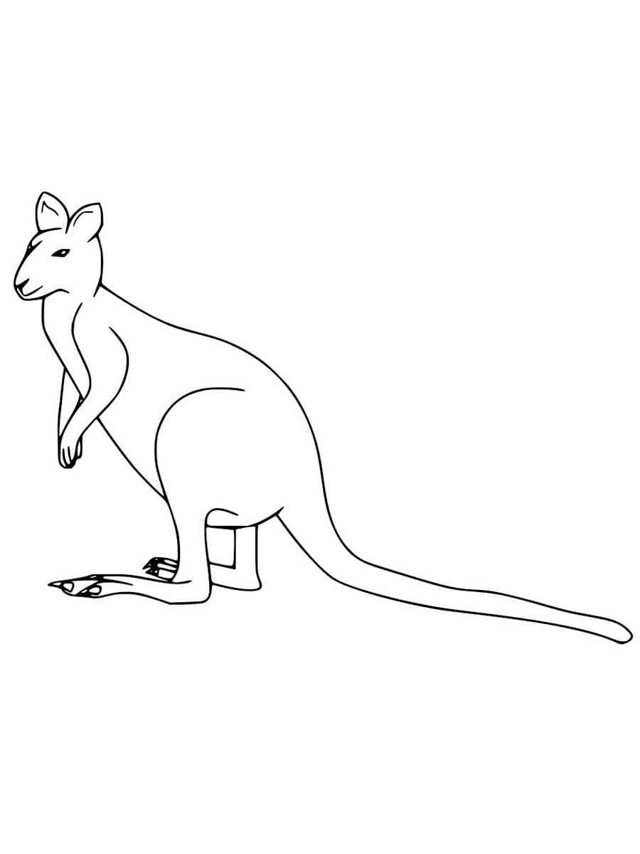 Realistic Wallaby coloring page