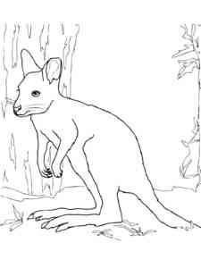 White Wallaby coloring page