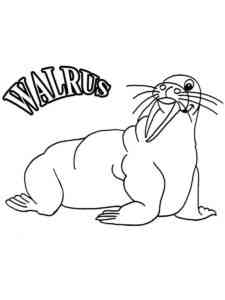 Simple Walrus coloring page