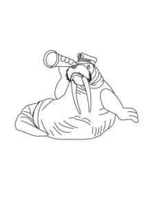 Walrus with a spyglass coloring page