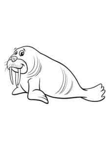Funny Walrus coloring page