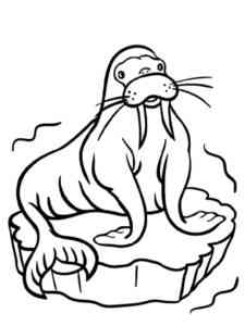 Fat Cartoon Walrus coloring page