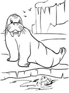 Easy Funny Walrus coloring page