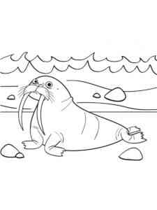 Walrus by the Sea coloring page
