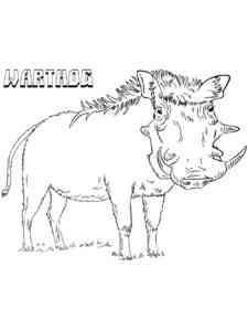 Realistic Warthog coloring page