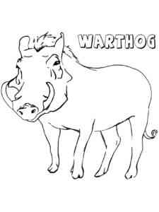 Simple Warthog coloring page