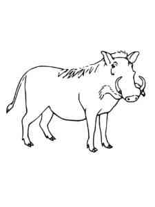 African Warthog coloring page