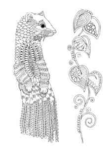 Weasel Antistress coloring page