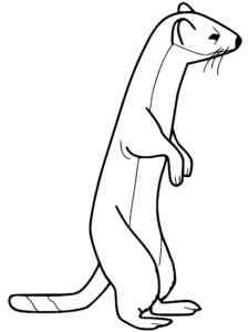 Cartoon Weasel coloring page