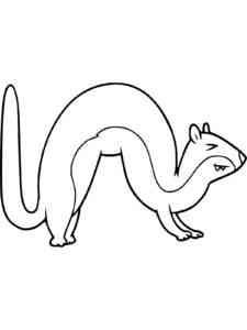 Funny Weasel coloring page