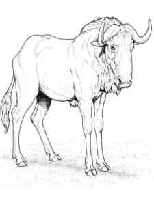 Realistic Blue Wildebeest coloring page