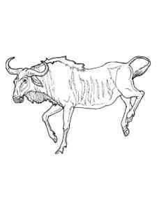 Realistic Wildebeest coloring page