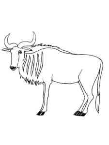 Simple Wildebeest coloring page