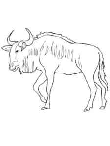 Black Wildebeest coloring page