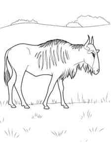 Easy Wildebeest coloring page